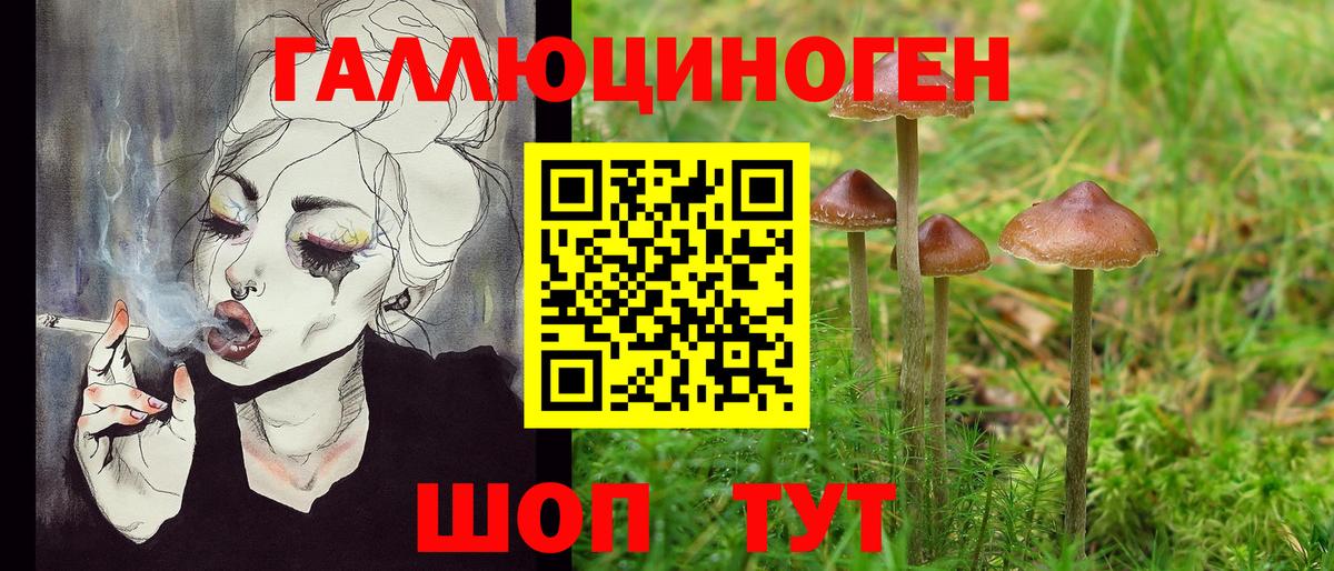 Галлюциногенные грибы Psilocybine cubensis Коломна