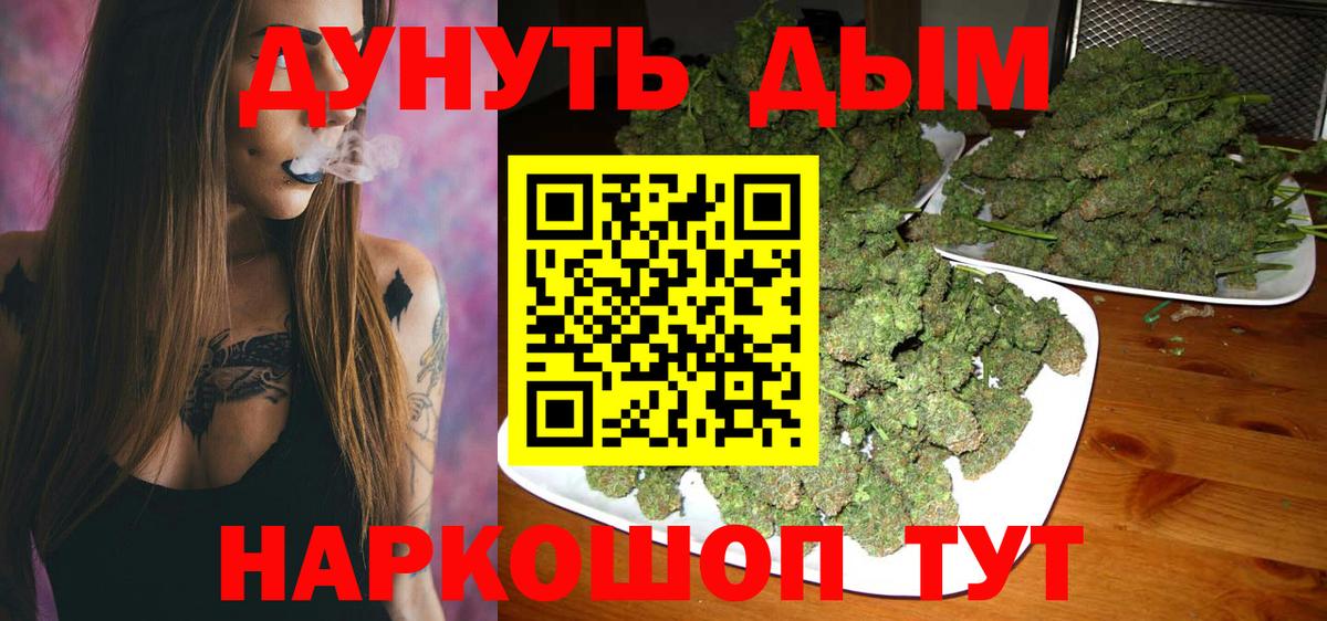 Каннабис сатива Коломна